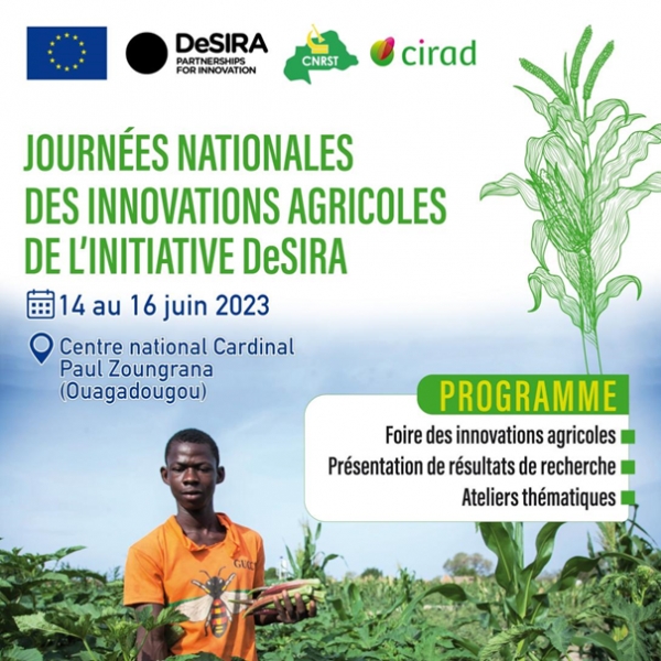 L’entrepreneuriat innovant aux journées nationales des innovations agricoles de l’initiative DeSIRA